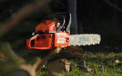 Lefler Tree Service: Your Go-To for Brush Chipping in Parkwood, WA