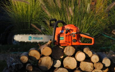 The Importance of Regular Tree Pruning in Bremerton, WA