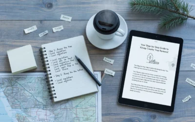 Your Step-by-Step Guide to Kitsap County Tree Removal