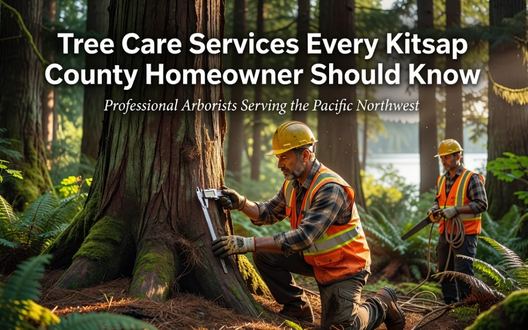 Professional header image for list-based article: Tree Care Services Every Kitsap County Homeowner Should Know