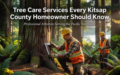 Tree Care Services Every Kitsap County Homeowner Should Know